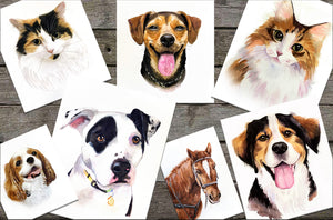 Custom pet portrait store 